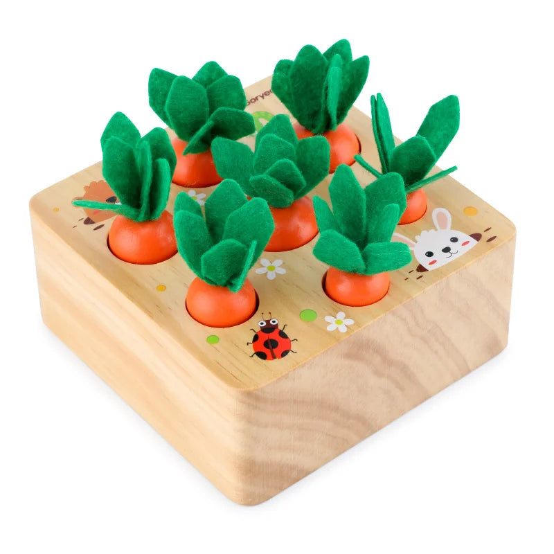Pull & Play Harvest Carrot Toy