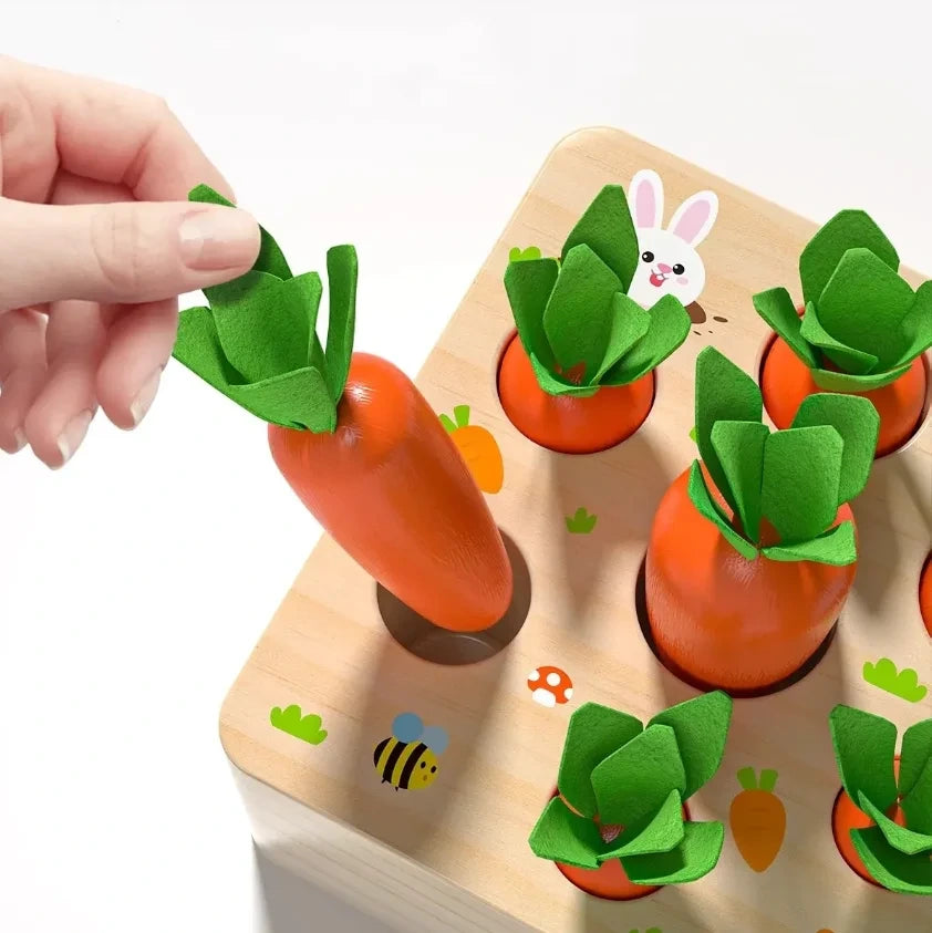 Pull & Play Harvest Carrot Toy